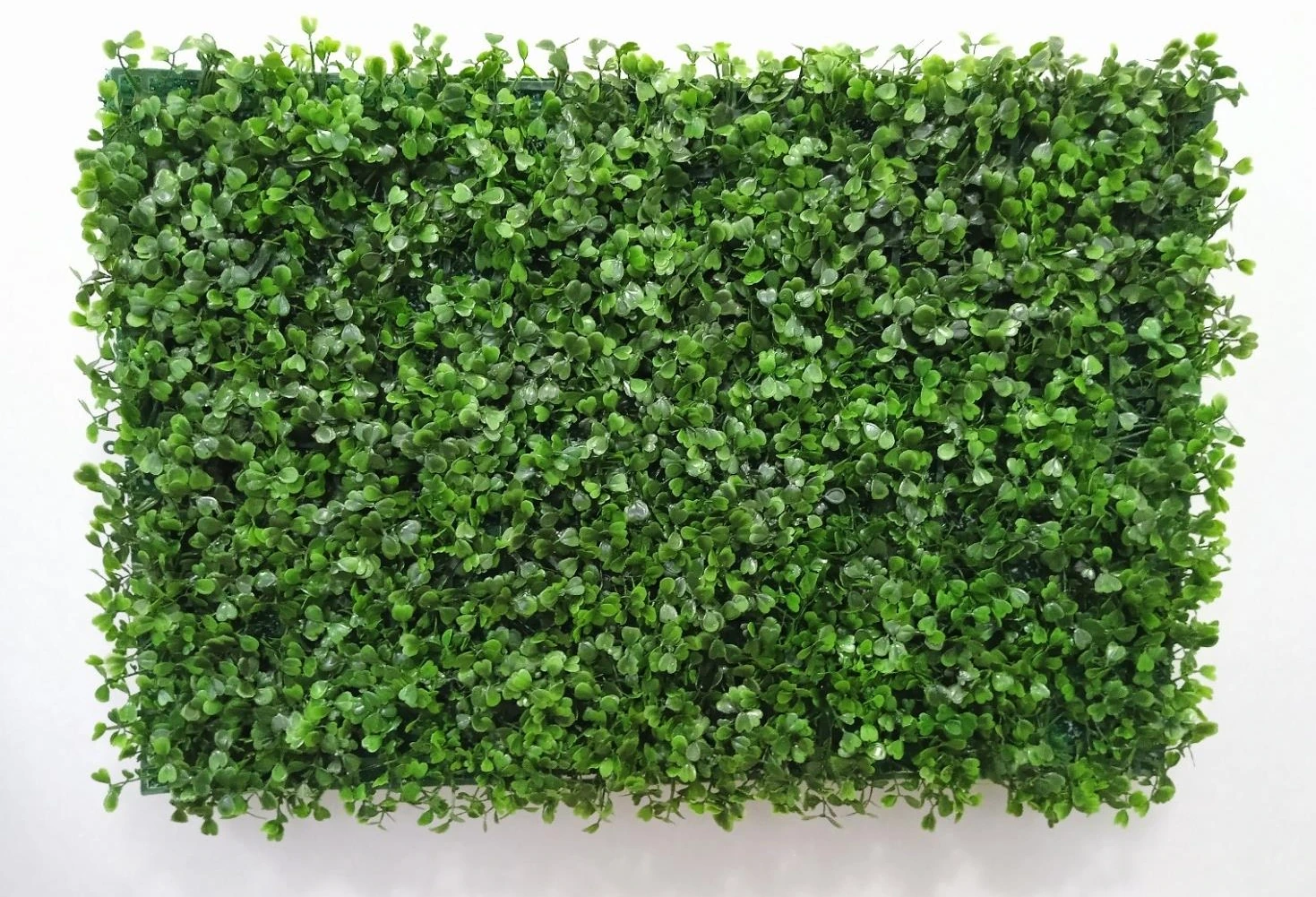 Boxwood Mat 1x8x247